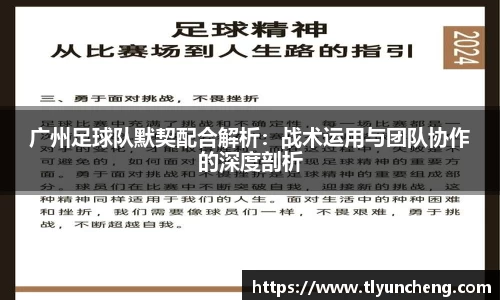 evo视讯平台