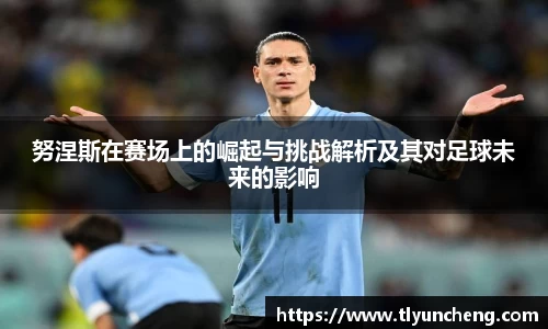 努涅斯在赛场上的崛起与挑战解析及其对足球未来的影响