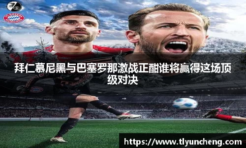evo视讯真人
